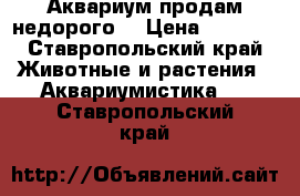 Аквариум продам недорого  › Цена ­ 2 000 - Ставропольский край Животные и растения » Аквариумистика   . Ставропольский край